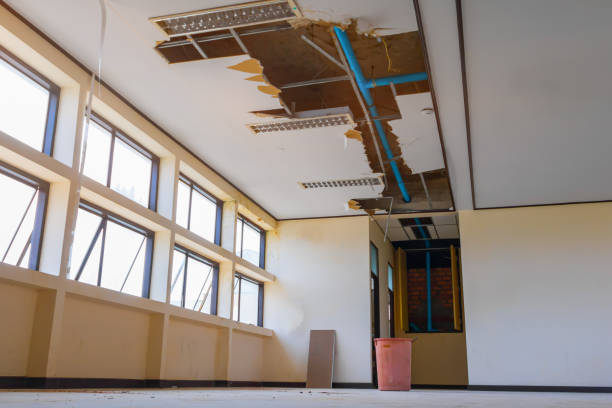 Best Sewage cleanup and water damage restoration  in Buchanan, VA