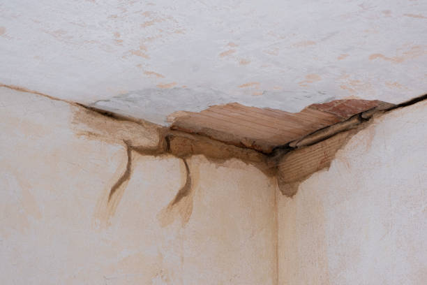 Best Fire Damage Restoration  in Buchanan, VA