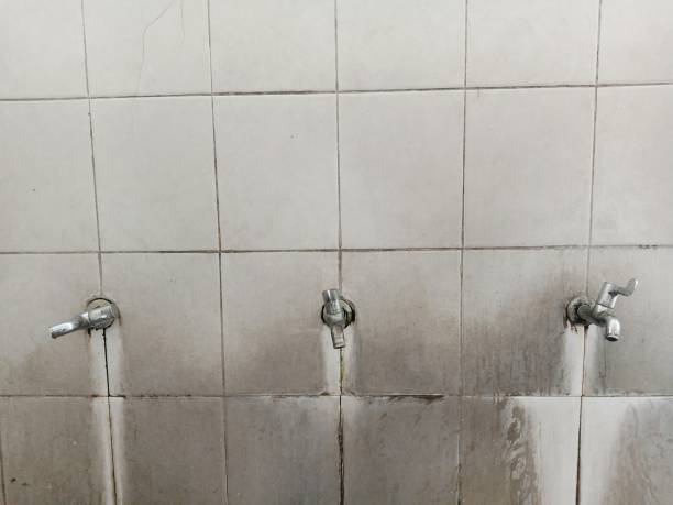 Best Water damage contractors near me  in Buchanan, VA